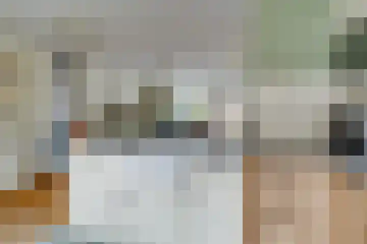 Holterschans 20 Nieuwegein thumbnail 16