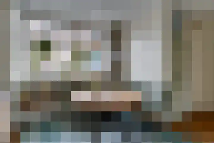 Holterschans 20 Nieuwegein thumbnail 17