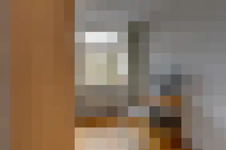 Holterschans 20 Nieuwegein thumbnail 25