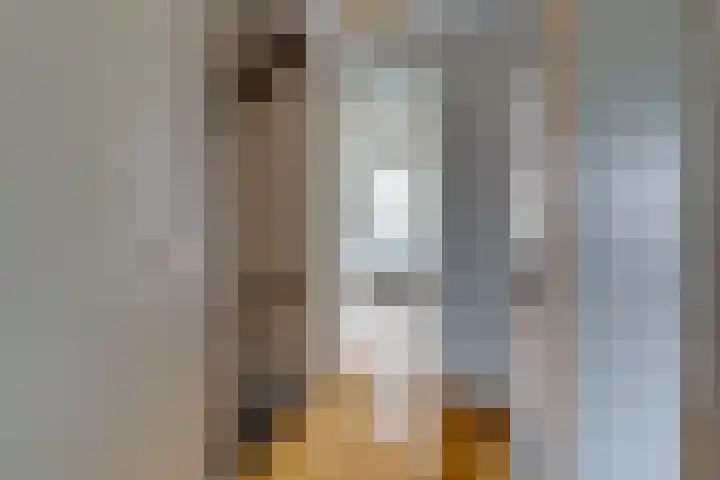 Holterschans 20 Nieuwegein thumbnail 26