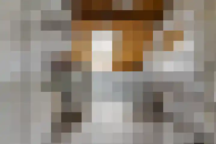 Holterschans 20 Nieuwegein thumbnail 31