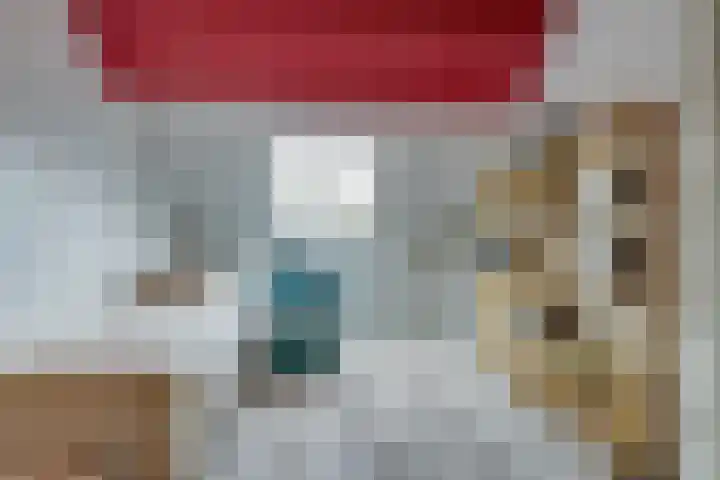 Holterschans 20 Nieuwegein thumbnail 32
