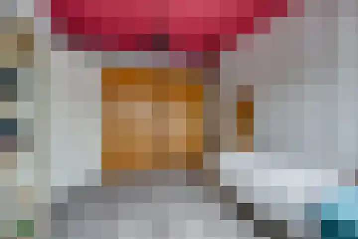 Holterschans 20 Nieuwegein thumbnail 33