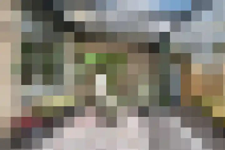 Holterschans 20 Nieuwegein thumbnail 36