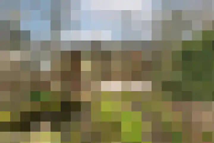 Holterschans 20 Nieuwegein thumbnail 37