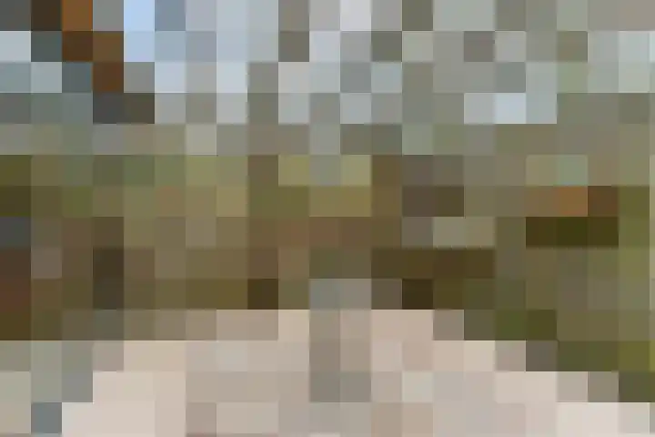 Holterschans 20 Nieuwegein thumbnail 38