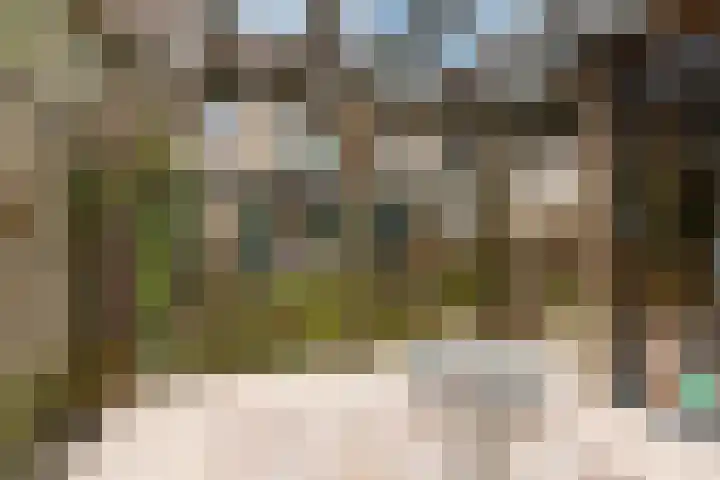 Holterschans 20 Nieuwegein thumbnail 39