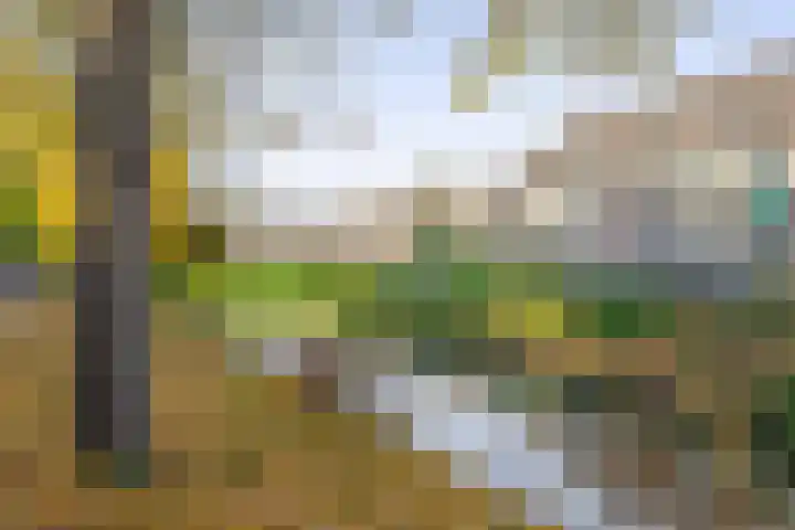 Holterschans 36 Nieuwegein thumbnail 36