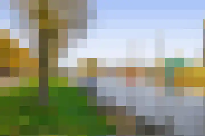 Holterschans 36 Nieuwegein thumbnail 37