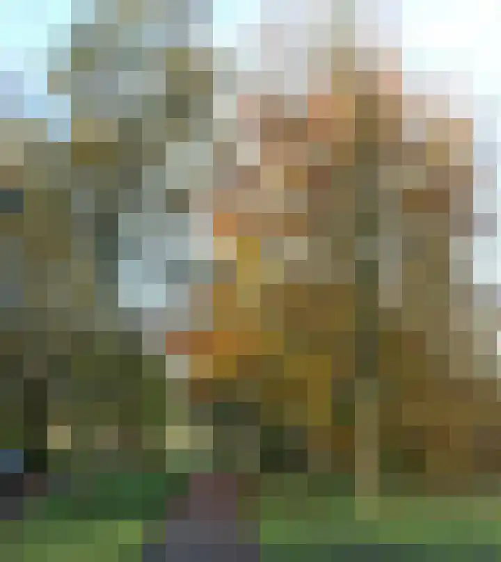 Holterschans 36 Nieuwegein thumbnail 42