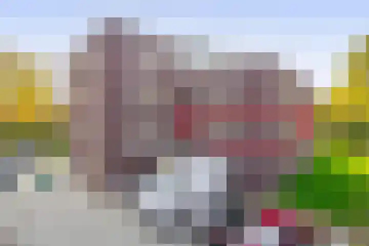 Holterschans 36 Nieuwegein thumbnail 44