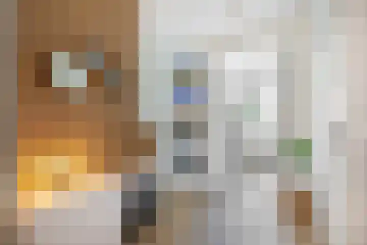 Holterschans 36 Nieuwegein thumbnail 8