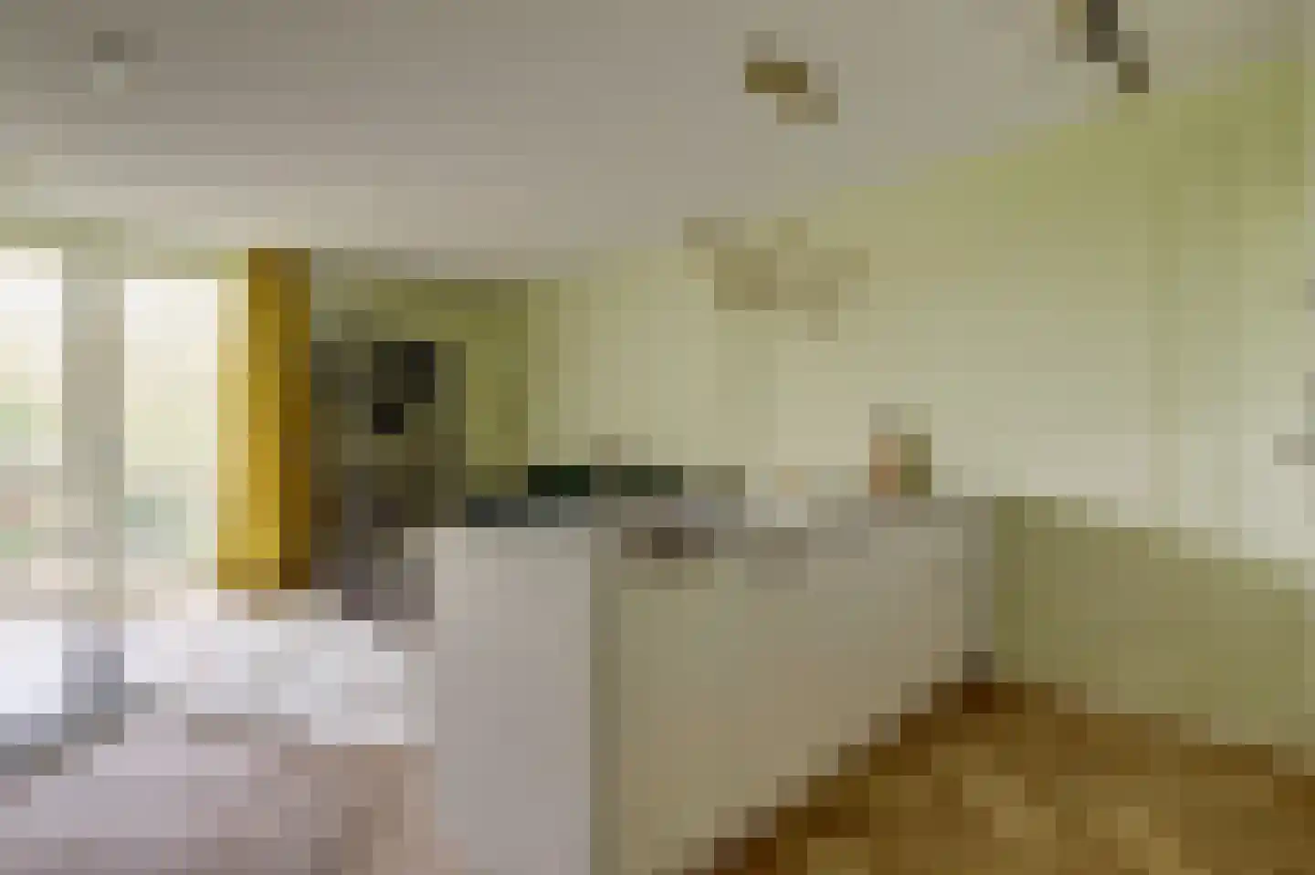Holterschans 38 Nieuwegein thumbnail 17