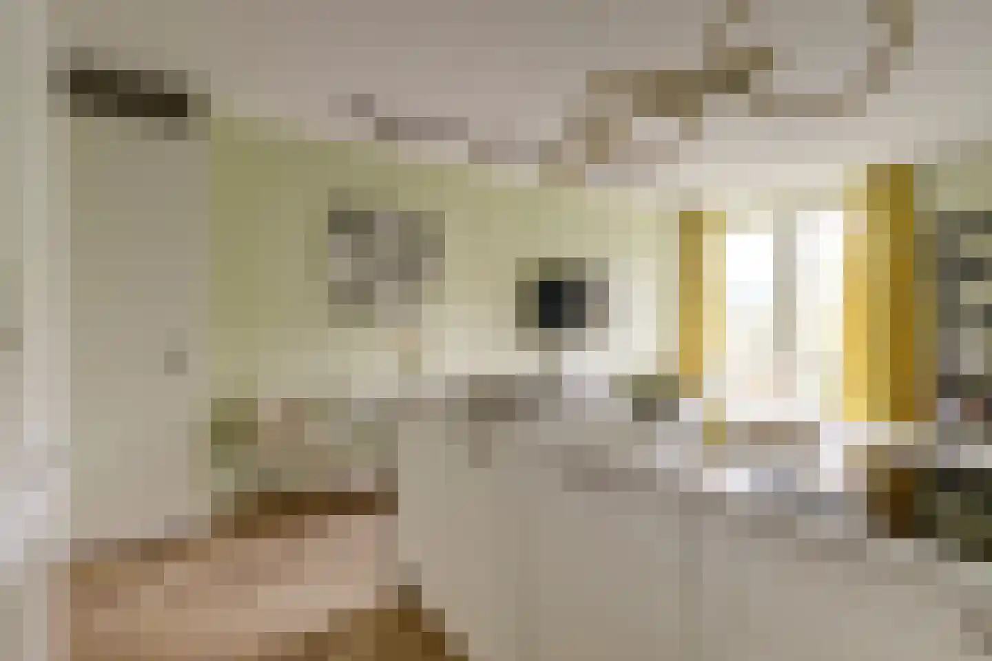 Holterschans 38 Nieuwegein thumbnail 18