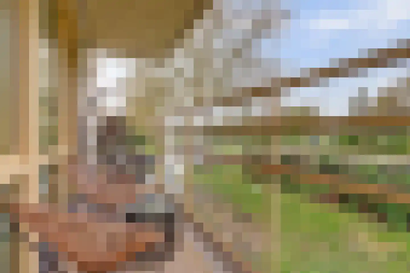Holterschans 38 Nieuwegein thumbnail 32
