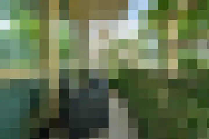 Holterschans 40 Nieuwegein thumbnail 12