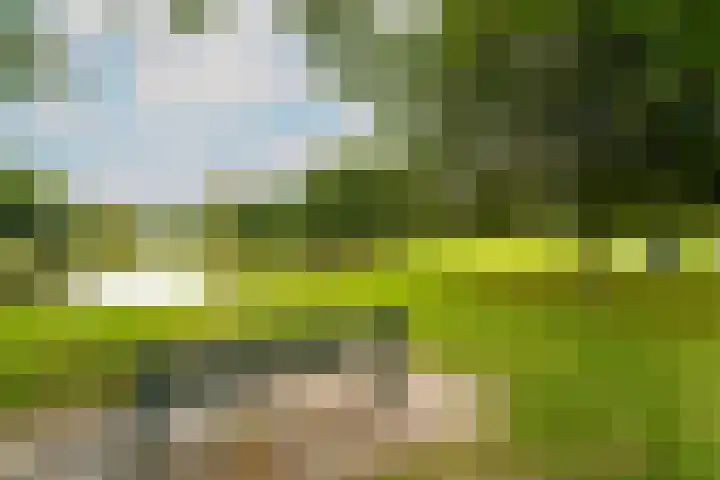 Holterschans 40 Nieuwegein thumbnail 37