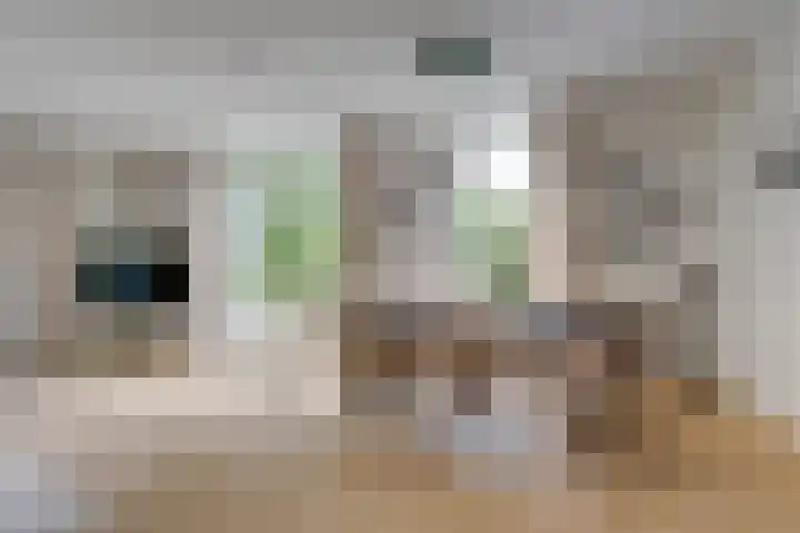 Holterschans 40 Nieuwegein thumbnail 4