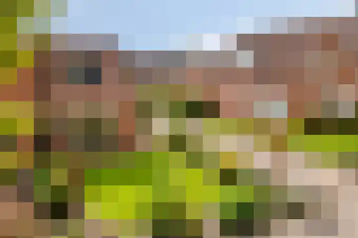 Holterstraatweg 119 Rijssen thumbnail 31