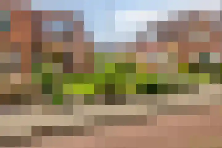 Holterstraatweg 119 Rijssen thumbnail 32