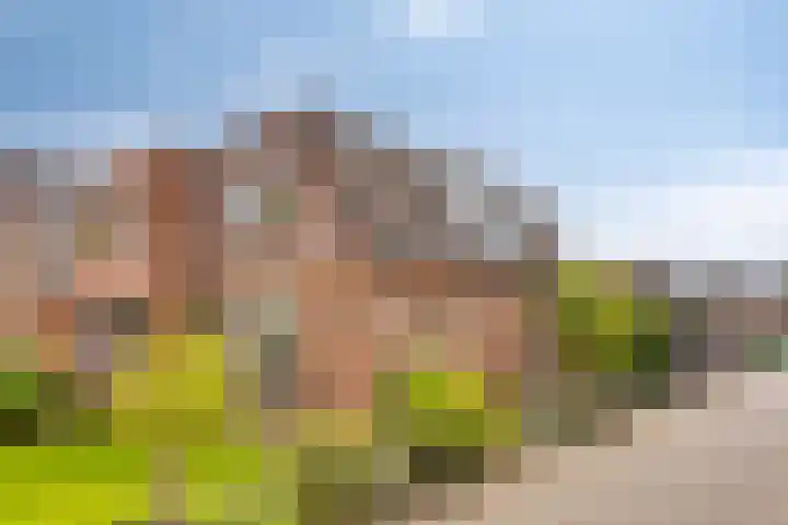 Holterstraatweg 119 Rijssen thumbnail 33