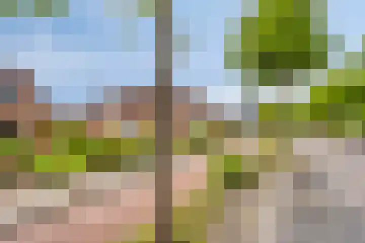 Holterstraatweg 119 Rijssen thumbnail 35
