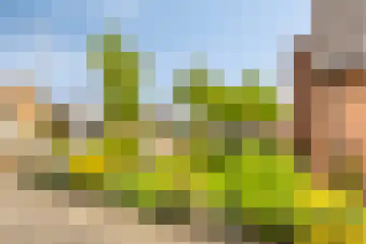 Holterstraatweg 119 Rijssen thumbnail 36