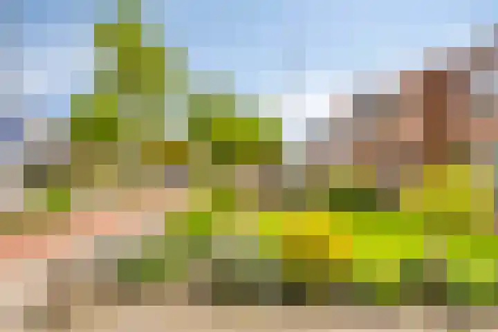 Holterstraatweg 119 Rijssen thumbnail 6