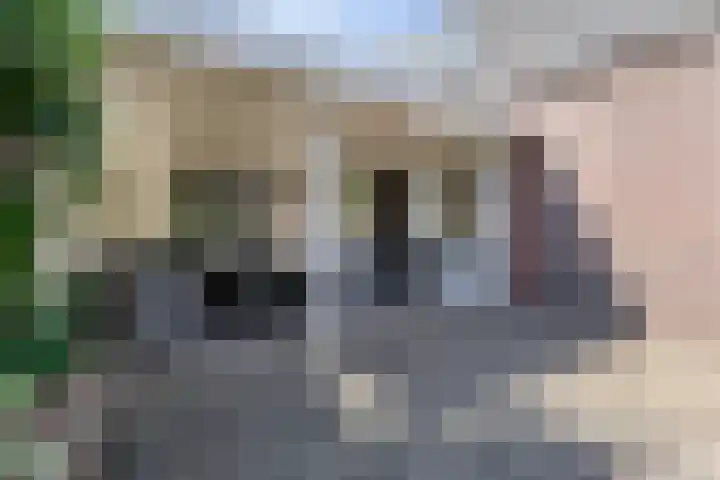 Holterstraatweg 127 Rijssen thumbnail 33