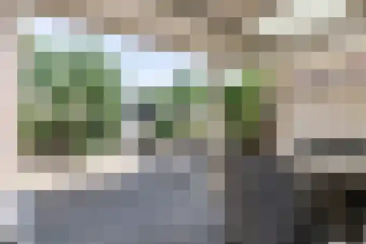 Holterstraatweg 127 Rijssen thumbnail 34