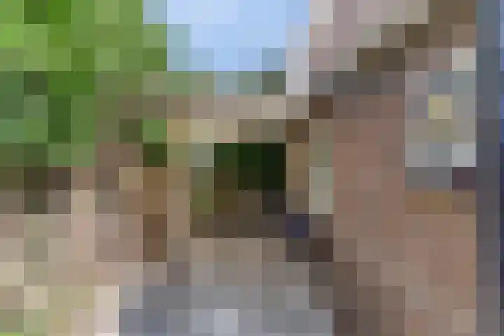 Holterstraatweg 127 Rijssen thumbnail 39