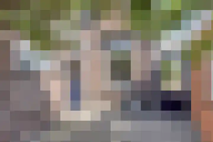 Holterstraatweg 127 Rijssen thumbnail 6