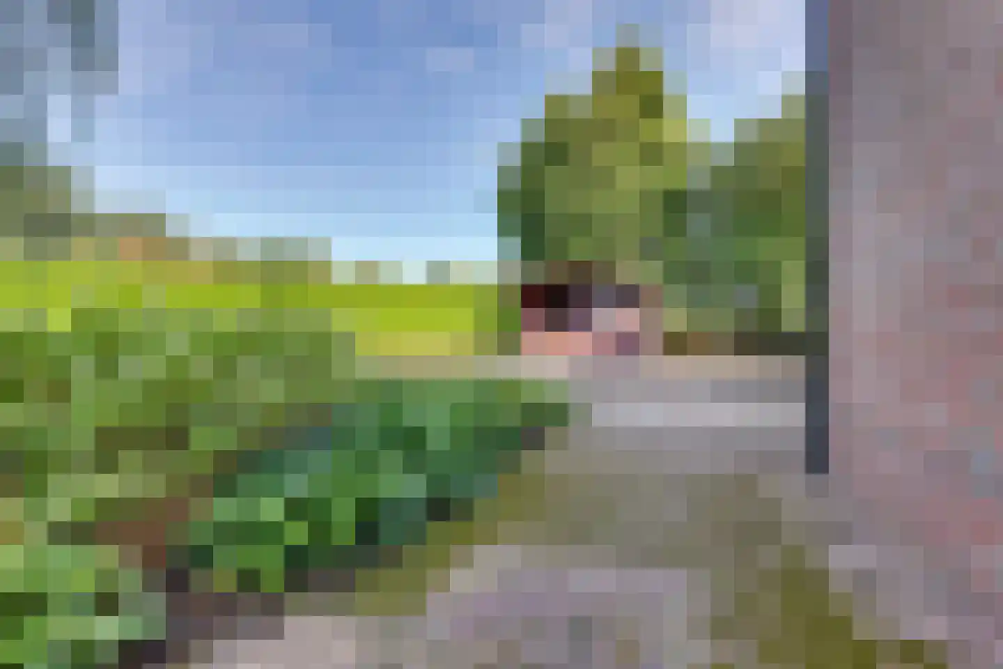 Holterstraatweg 184 Rijssen thumbnail 32