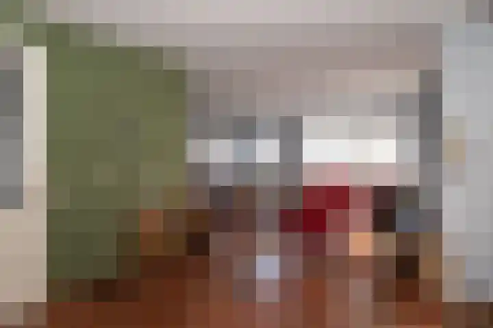 Holterstraatweg 50 Rijssen thumbnail 11