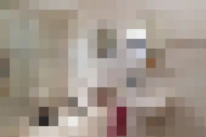 Holterstraatweg 50 Rijssen thumbnail 30