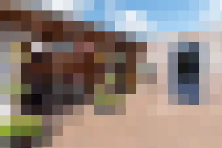 Holterstraatweg 50 Rijssen thumbnail 37