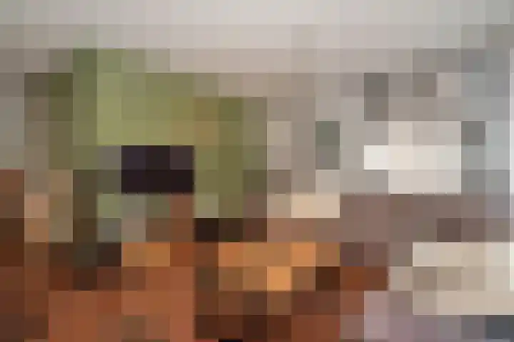 Holterstraatweg 50 Rijssen thumbnail 8