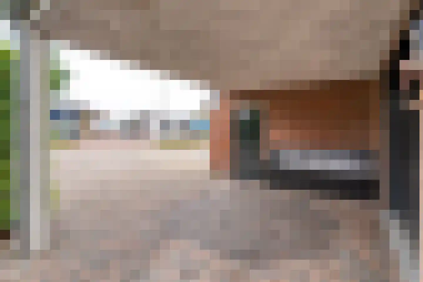 Holterstraatweg 80 Rijssen thumbnail 14
