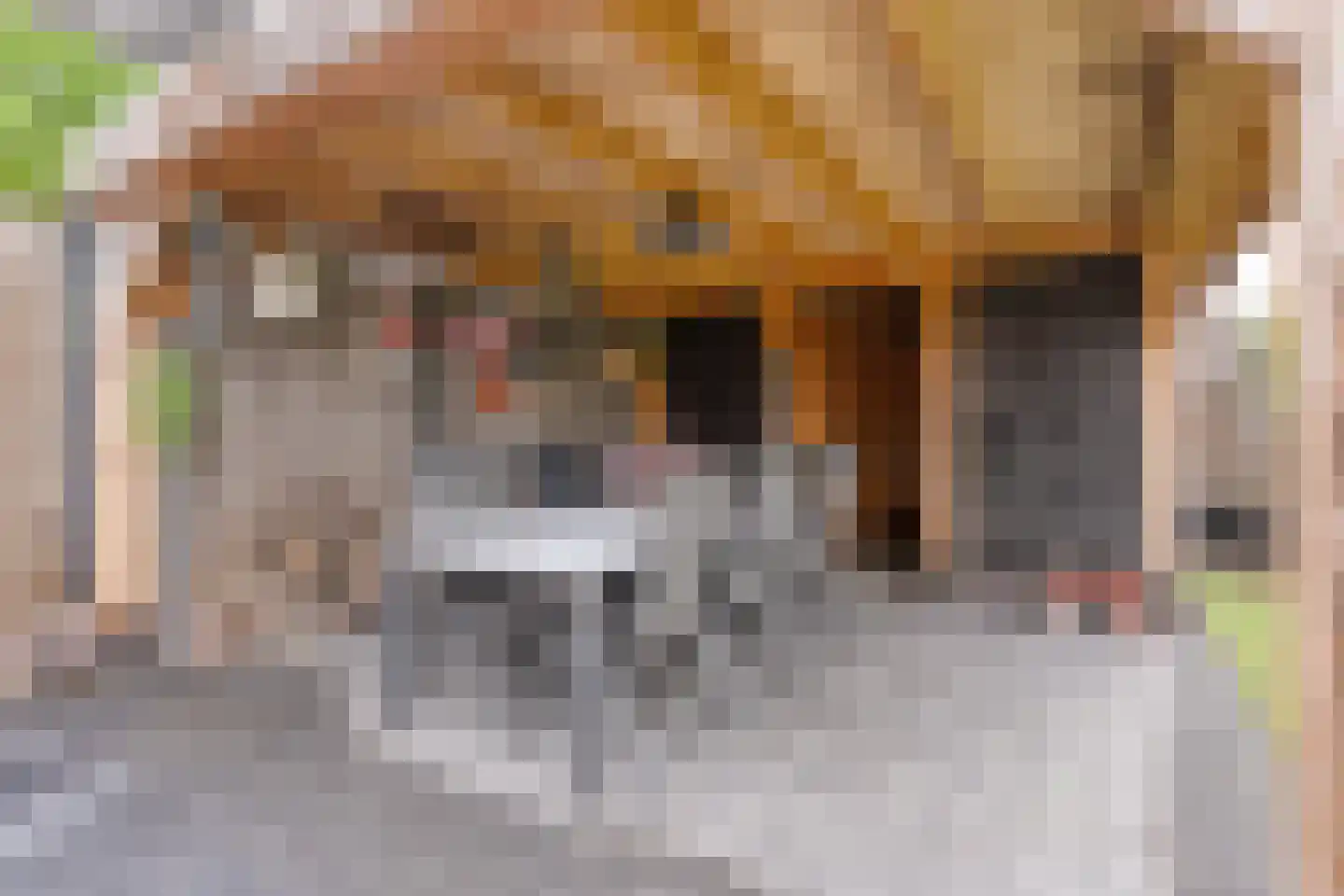 Holterstraatweg 80 Rijssen thumbnail 61