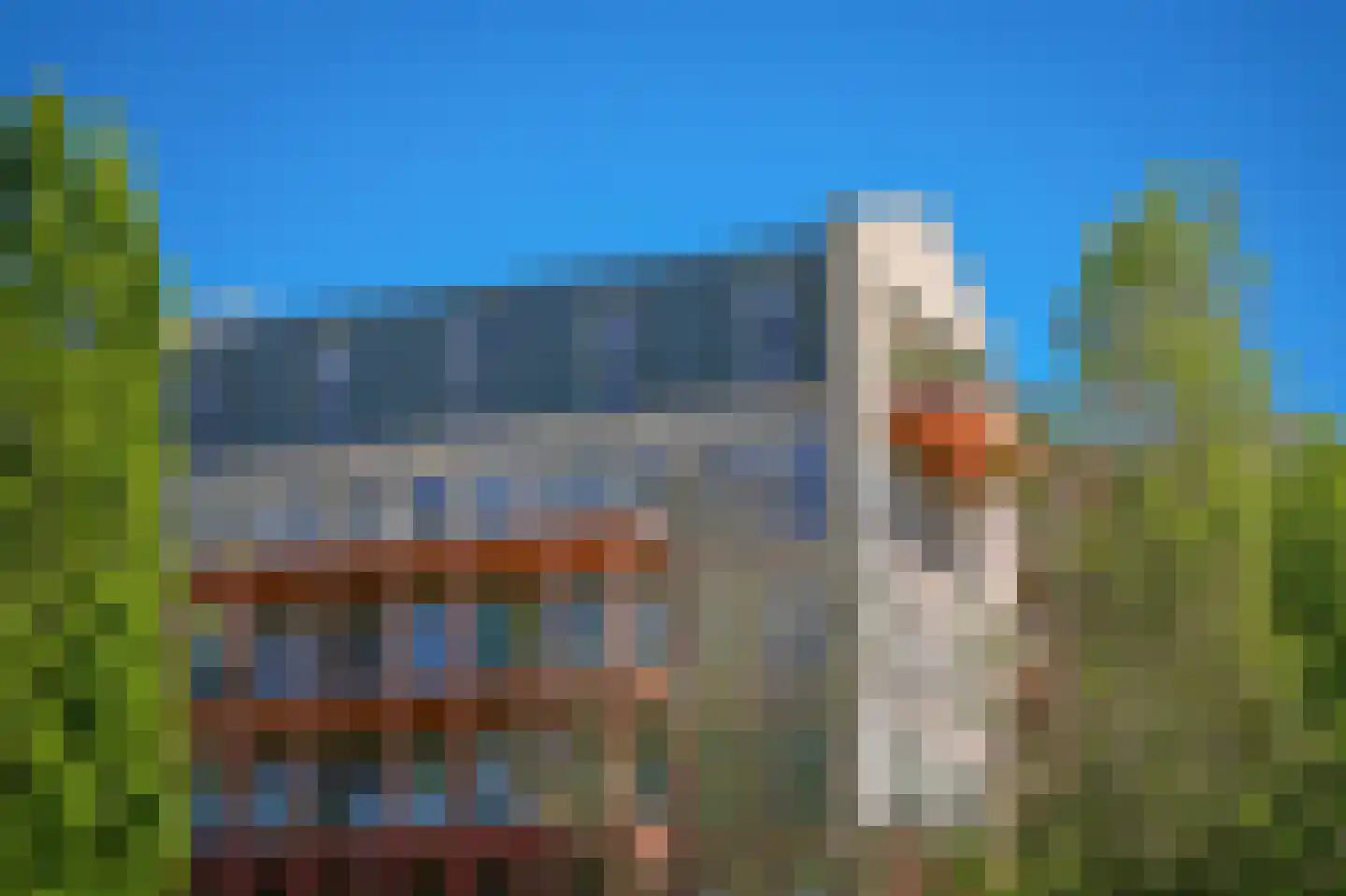 Holterveste 12 's-Hertogenbosch thumbnail 5