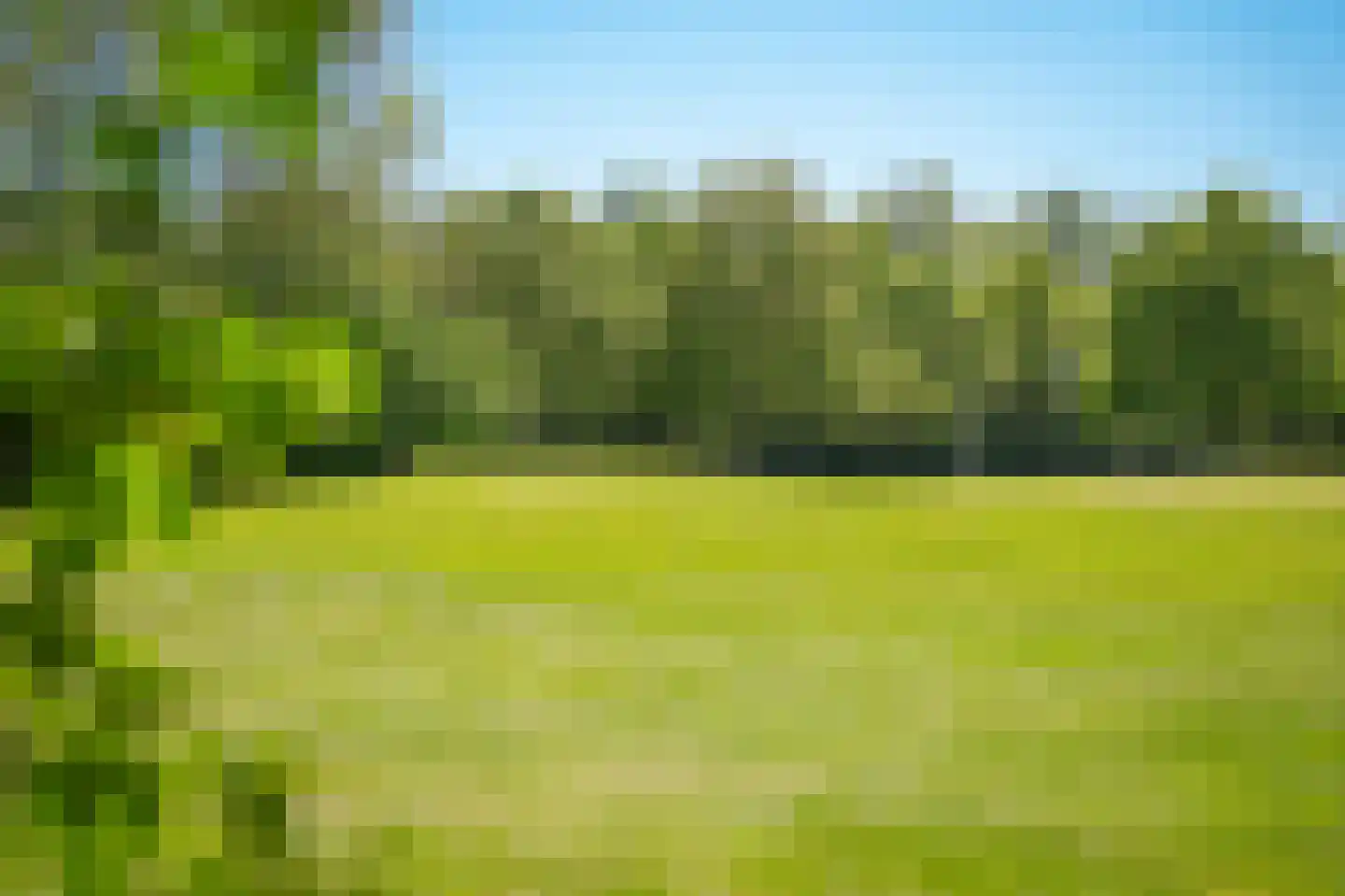 Holterveste 12 's-Hertogenbosch thumbnail 56