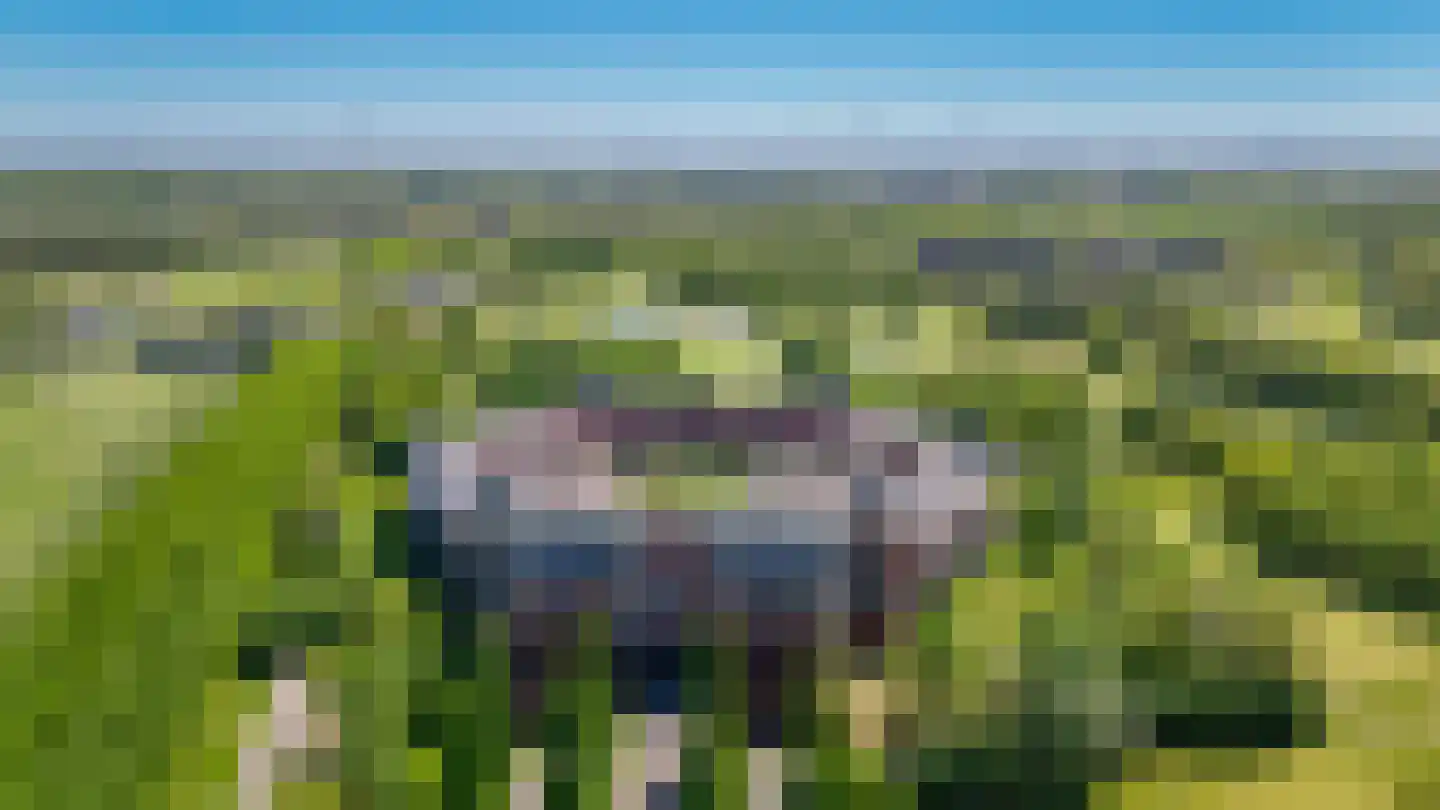 Holterveste 12 's-Hertogenbosch thumbnail 62