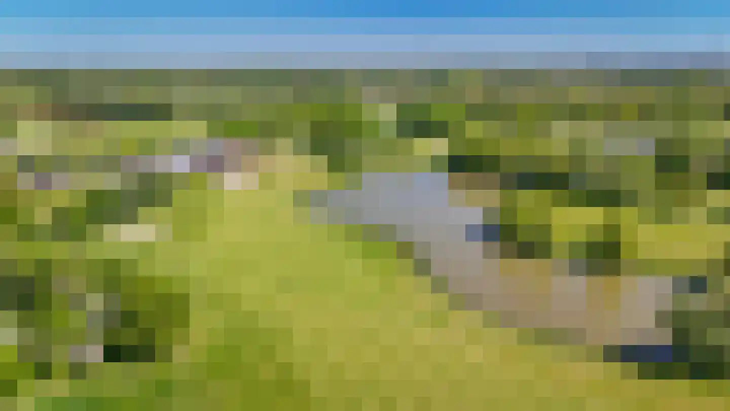 Holterveste 12 's-Hertogenbosch thumbnail 64