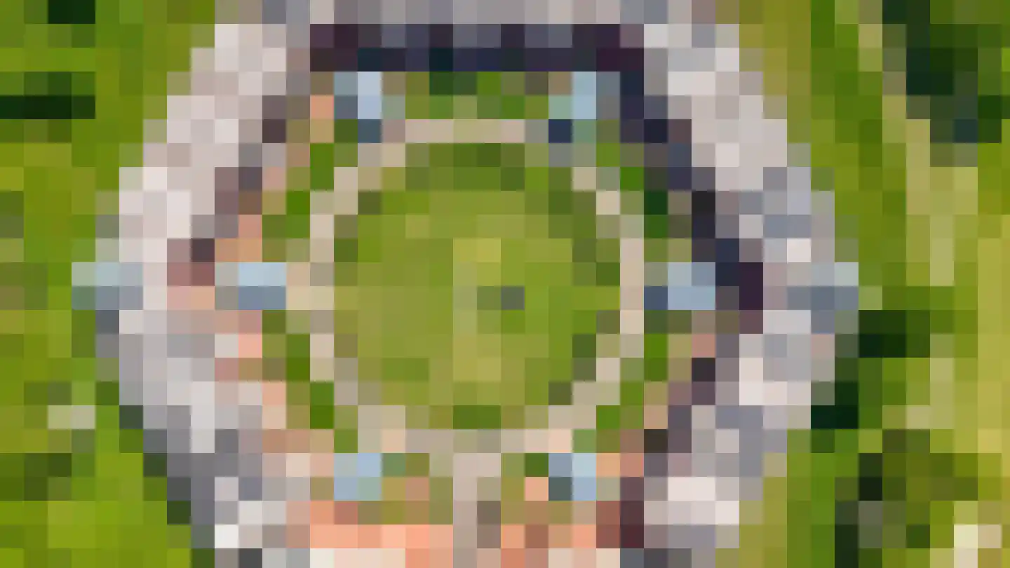 Holterveste 12 's-Hertogenbosch thumbnail 65