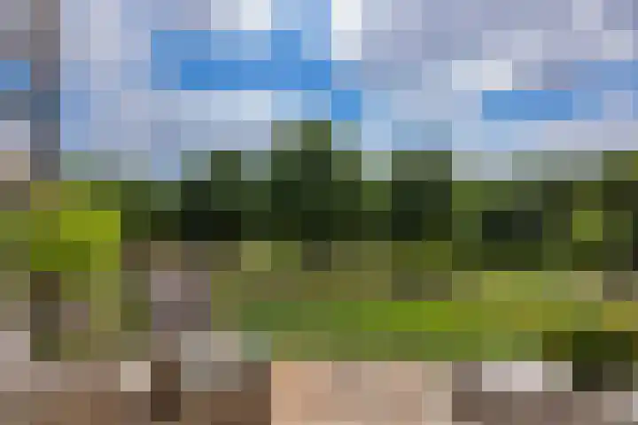 Holterveste 23 's-Hertogenbosch thumbnail 10