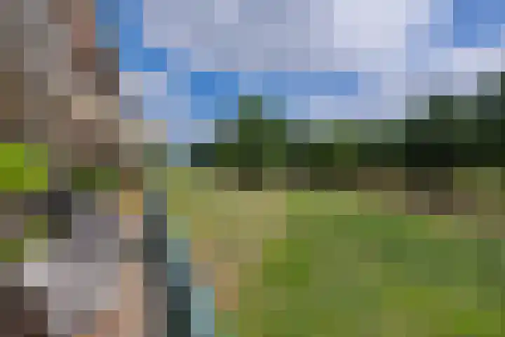Holterveste 23 's-Hertogenbosch thumbnail 12
