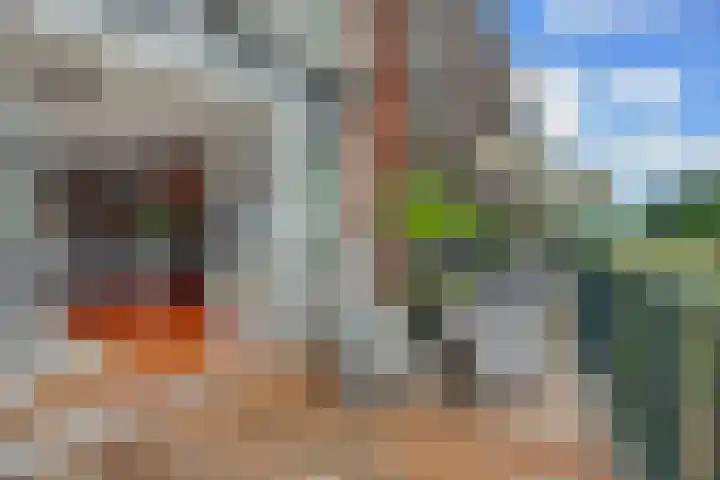 Holterveste 23 's-Hertogenbosch thumbnail 14
