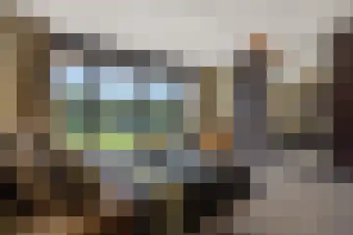 Holterveste 23 's-Hertogenbosch thumbnail 26