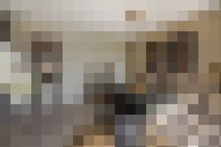 Holterveste 23 's-Hertogenbosch thumbnail 27