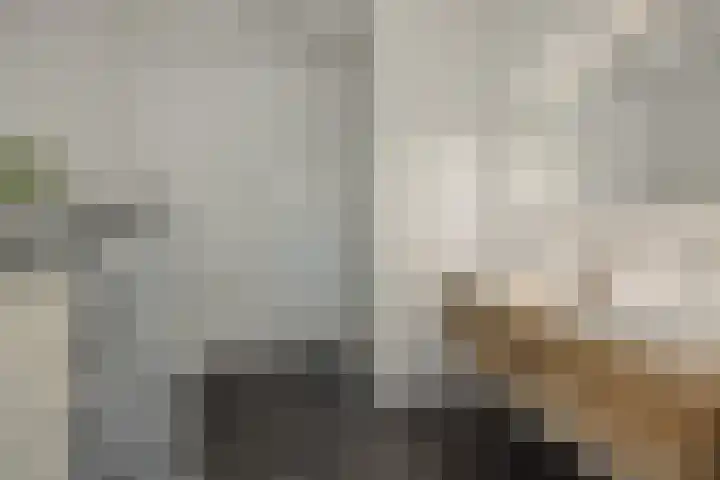 Holterveste 23 's-Hertogenbosch thumbnail 30